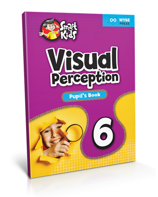 Visual Perception Pupil’s Book 6